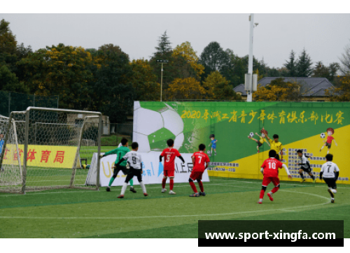 青少年体育俱乐部：洛阳市新兴运动热点