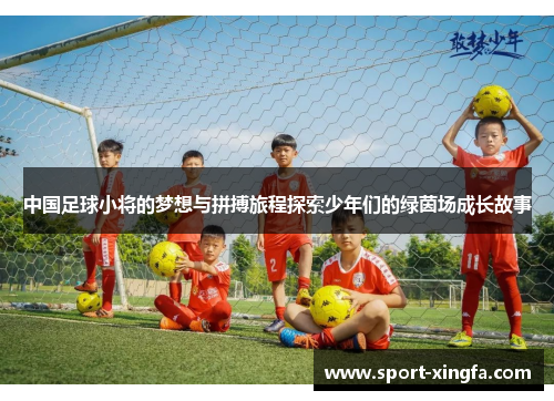 中国足球小将的梦想与拼搏旅程探索少年们的绿茵场成长故事