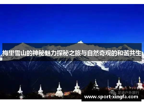 梅里雪山的神秘魅力探秘之旅与自然奇观的和谐共生