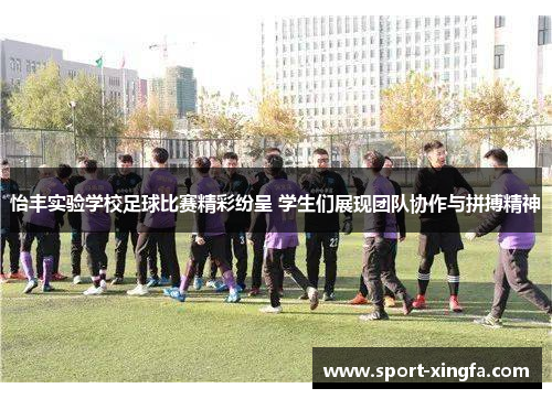 怡丰实验学校足球比赛精彩纷呈 学生们展现团队协作与拼搏精神